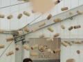 DSC02459